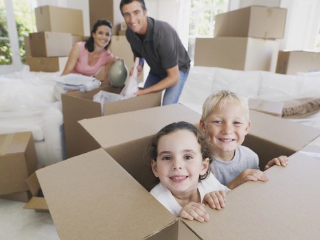 Small removals and scheduled delivery service