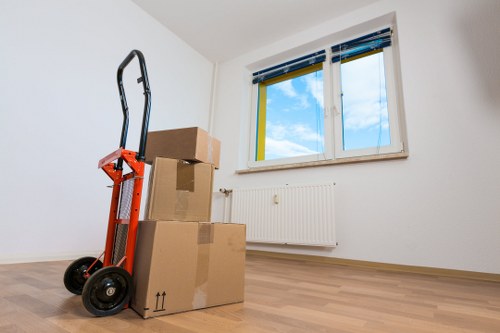 Inclusive Man With Van Chingford service website illustration