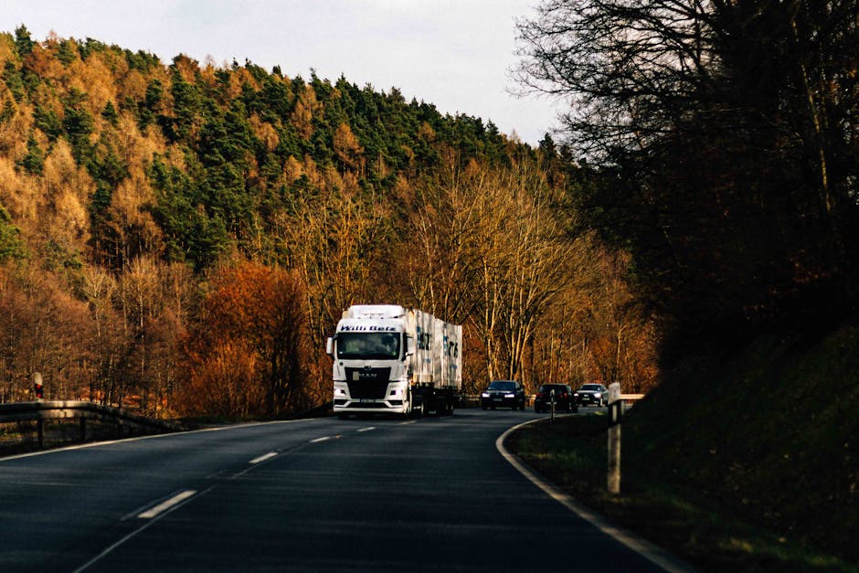 A white moving truck with branding for Man with Van Chingford is driving along a winding road surrounded by trees with autumn foliage, while several dark-colored passenger cars follow behind. The truck appears to be part of a home relocation or furniture transport process, possibly participating in packing and moving services. The scene is set during daylight with natural light illuminating the trees and vehicles, reflecting a typical route from Station Road to Epping Forest in Chingford. The road has visible lane markings, and white posts with black tops are positioned along the roadside for safety. The background features a dense wooded hillside with a mix of green, orange, and brown leaves, emphasizing the scenic environment typical of a rural or semi-rural moving route. Man with Van Chingford specializes in removals and transportation, supporting clients in coordinating smooth property moves through varied routes like this one, demonstrating a professional loading or transit phase within a house or furniture removal service.