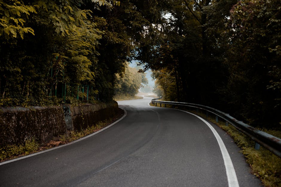 A white moving truck with branding for Man with Van Chingford is driving along a winding road surrounded by trees with autumn foliage, while several dark-colored passenger cars follow behind. The truck appears to be part of a home relocation or furniture transport process, possibly participating in packing and moving services. The scene is set during daylight with natural light illuminating the trees and vehicles, reflecting a typical route from Station Road to Epping Forest in Chingford. The road has visible lane markings, and white posts with black tops are positioned along the roadside for safety. The background features a dense wooded hillside with a mix of green, orange, and brown leaves, emphasizing the scenic environment typical of a rural or semi-rural moving route. Man with Van Chingford specializes in removals and transportation, supporting clients in coordinating smooth property moves through varied routes like this one, demonstrating a professional loading or transit phase within a house or furniture removal service.